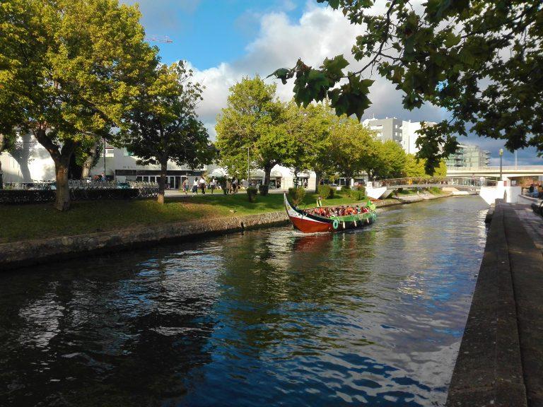 IMG_20190727_194147-2-768x576